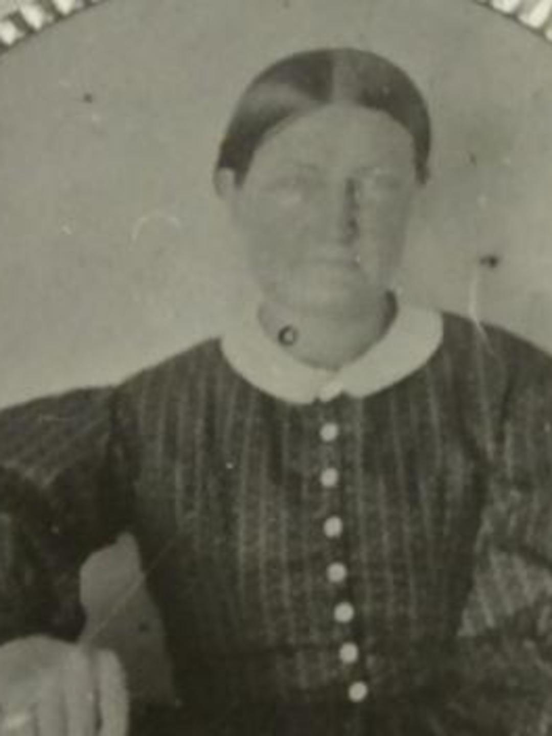 Diana Elizabeth Kelsey Hendrickson (1827 - 1900) Profile